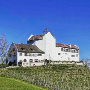 Hotel & Restaurant Schloss Schwandegg